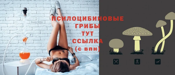 сатива Белокуриха
