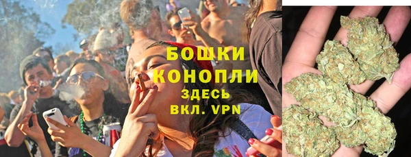 сатива Белокуриха