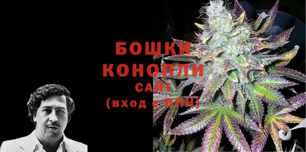 сатива Белокуриха