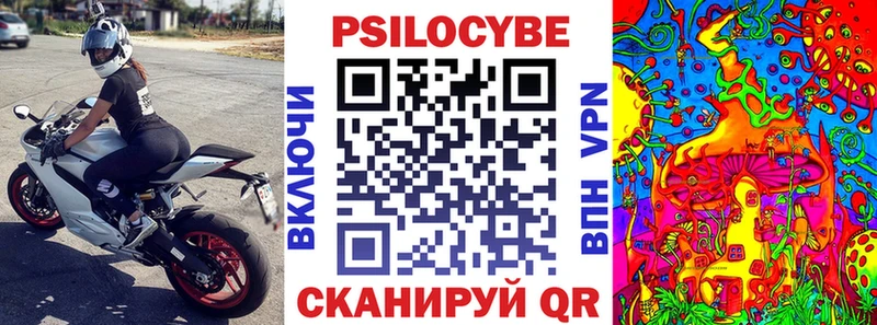 Псилоцибиновые грибы Magic Shrooms  Александровское 
